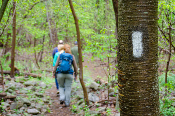 Appalachian Trail in Maryland - Baumstamm mit einem Wegweiser und unscharfe Wanderer im Hintergrund