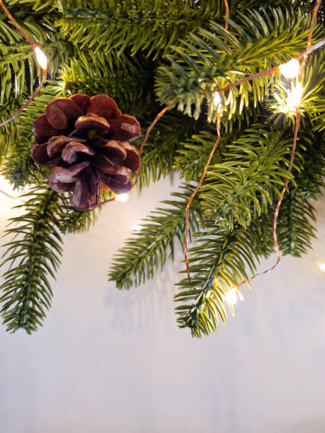 istock Christmas pine needles cones and white lights against a white background 1497680926
