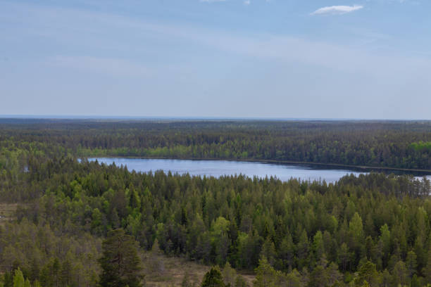 istock Scenic view of a lake 1497681190