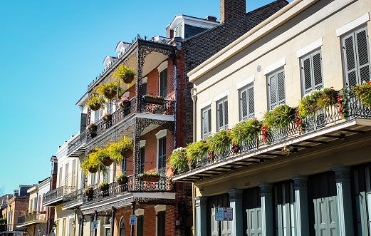 A view of the tall galleries on the historic buildings in the French Quarter of New Orleans, Louisiana with magnolia trees and hanging plants