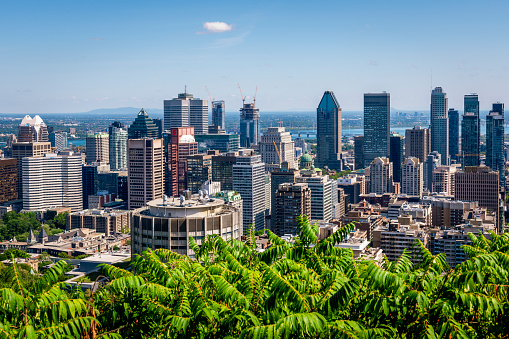 aerial view from the skyline of Montreal