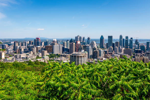 istock skyline of Montreal in Canada 1497692238