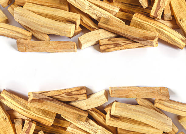 istock Palo santo holy sacred tree stick 1497693056