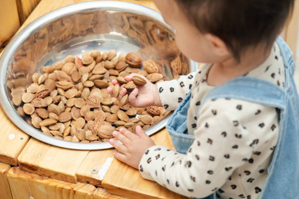 istock Toddler playing with dried pits and nuts 1497693626
