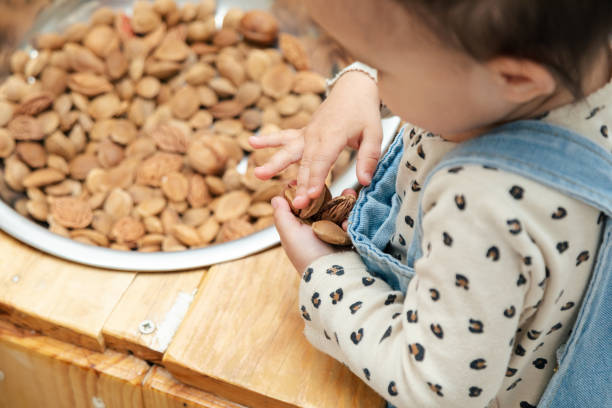 istock Closeup of toddler playing with dried pits and nuts 1497694521