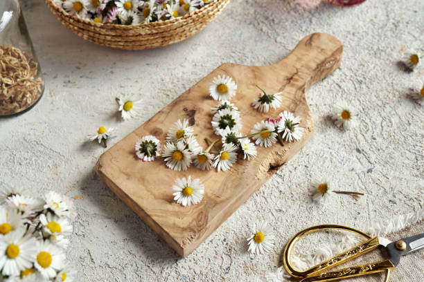 istock Fresh common daisy flowers on a table indoors 1497697869
