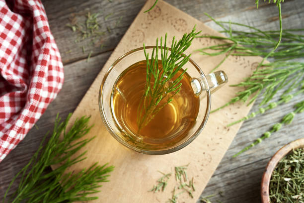 istock Horsetail herb in a cup of horsetail tea 1497697880