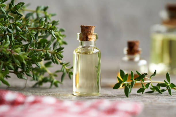 istock Thyme essential oil with fresh thyme plant on a table 1497700211