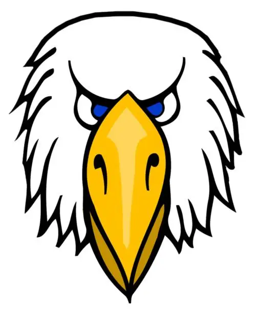 Vector illustration of head of a bald eagle