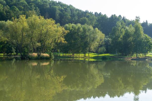 istock River, lake or the brook flowing in the wild nature. 1497701444