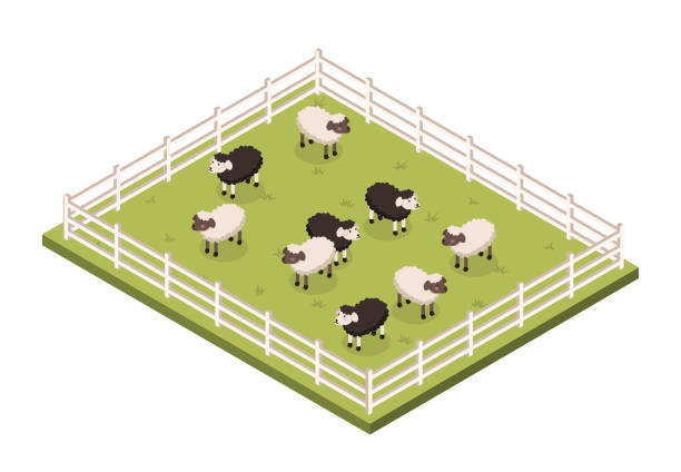 Paddock Sapi 1.900+ Paddock Ilustrasi, Grafik Vektor, & Clip Art Bebas Royalti ...