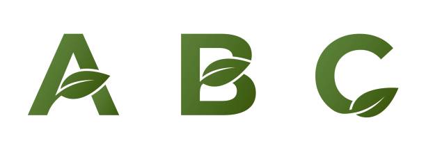 a b c initial letters with leaf. creative alphabet logo design. eco friendly, ecology and environment symbol a b c initial letters with leaf. creative alphabet logo design. eco friendly, ecology and environment symbol. isolated vector image a b c stock illustrations