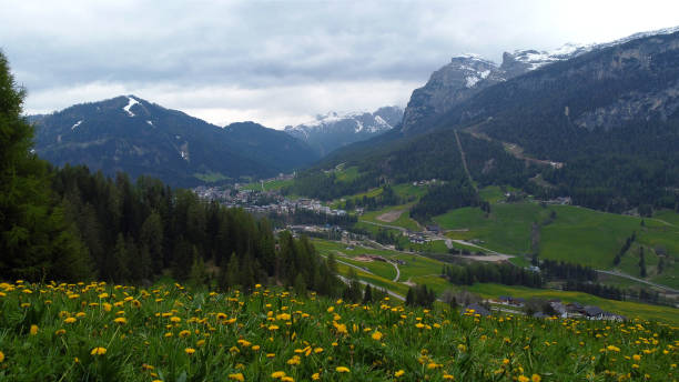 istock Beautiful blossoming alpine valley and mountains in Alta Badia 1497708664