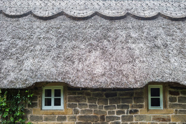 Facade of a classic Irish cottage house with a straw roof and some flowers at the window. Illustration for rundown, neglected or authentic village lifestyle - Kilmore Quay, County Wexford, Ireland