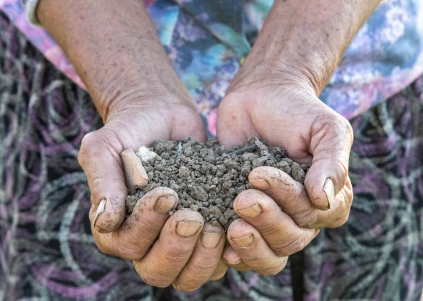 Senior woman holding soil in her hands