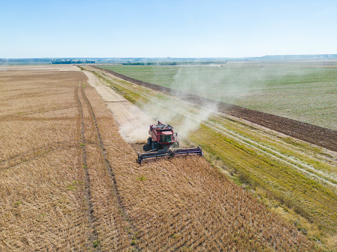 Aerial picture of combine harvesting soya plants