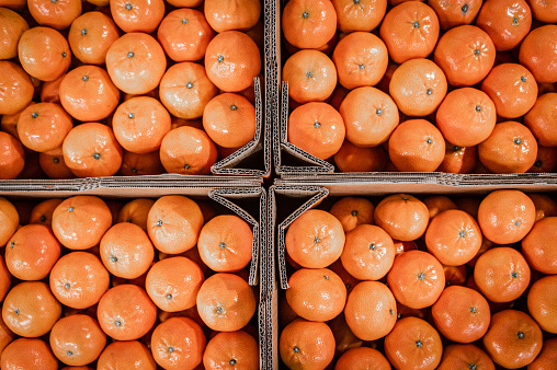 Satsuma mandarin in bulk on the market in Asia