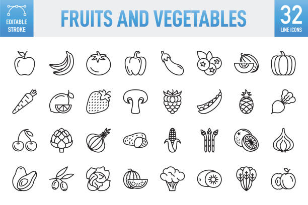 ilustrações, clipart, desenhos animados e ícones de frutas e legumes - conjunto de ícones vetoriais de linha fina. pixel perfeito. traçado editável. para dispositivos móveis e web. o conjunto contém ícones: frutas, vegetais, cenouras, alimentos, tomate, banana, maçã - frutas, laranja - frutas, melan - turnip