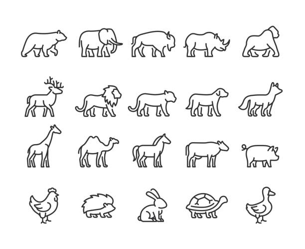 symbole für tierlinien. pixelgenau. bearbeitbarer strich. - female animal stock-grafiken, -clipart, -cartoons und -symbole