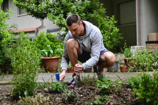 istock Young man working on a back yard in a garden. 1497720786