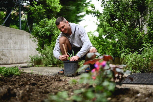 istock Cheerful young man working in a garden. 1497720813
