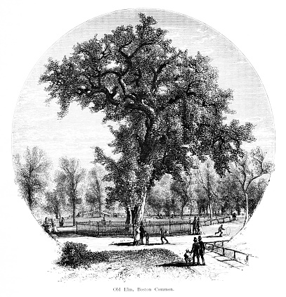 Boston Common in Boston, Massachusetts, USA. Pencil and pen, engraving published 1874 This edition edited by William Cullen Bryant is in my private collection. Copyright is in public domain.