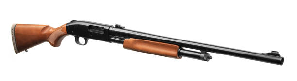 istock Pump-action 12 gauge shotgun isolated on a white background. A smooth-bore weapon with a wooden stock. 1497726588