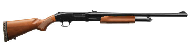 Pump-action 12 gauge shotgun isolated on a white background. A smooth-bore weapon with a wooden stock.