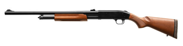 istock Pump-action 12 gauge shotgun isolated on a white background. A smooth-bore weapon with a wooden stock. 1497726602
