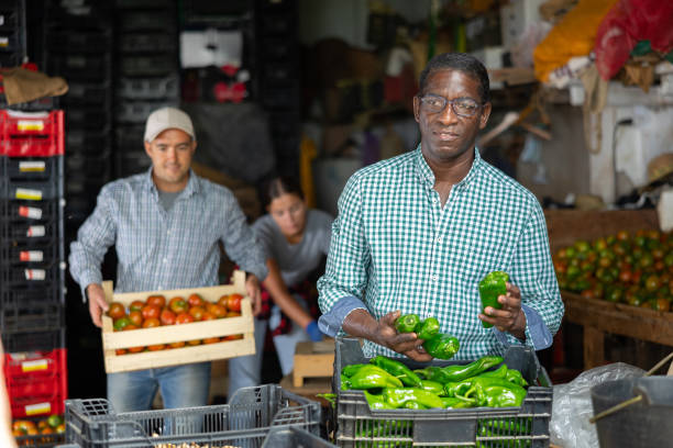 Man packing just harvested green pepper in warehouse African-american man packing just harvested green pepper into crates in vegetable warehouse. kenyan man stock pictures, royalty-free photos & images