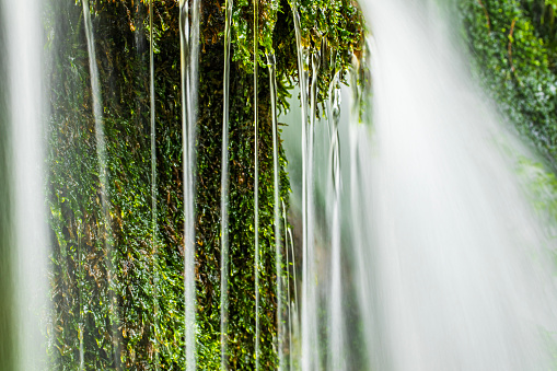 Close up of fresh water waterfalls in lush green rainforest in New Zealand