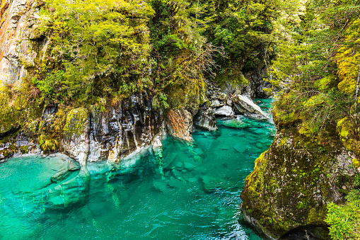 Turquoise blue green river with lush foliage in the mountains of New Zealand.