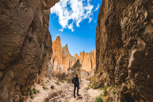 uomo in piedi che guarda i pinnacoli di formazione rocciosa unici in nuova zelanda - pinnacle foto e immagini stock