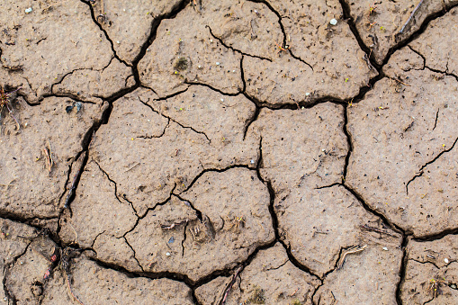 Deep cracks in river bed. Earth texture natural pattern in nature.