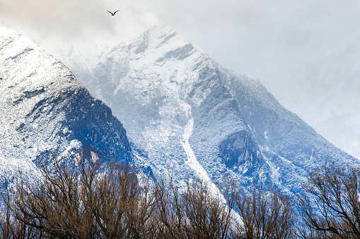 Grand nature scene of magnificent snow covered mountains with glacial ice and bird flying through. Photographed in New Zealand.