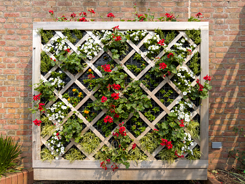 A vertical garden is an excellent way to maximize a small space