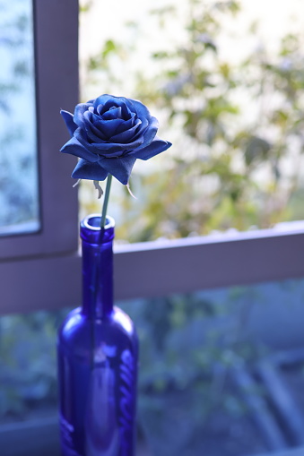 a blue rose in a blue bottle by an open window