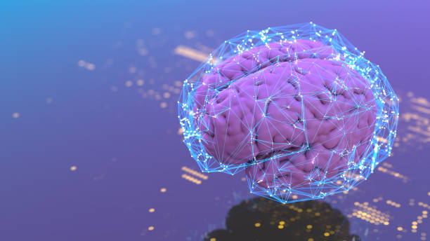 istock Artificial Intelligence and innovation, digital concept with abstract brains 1497735750