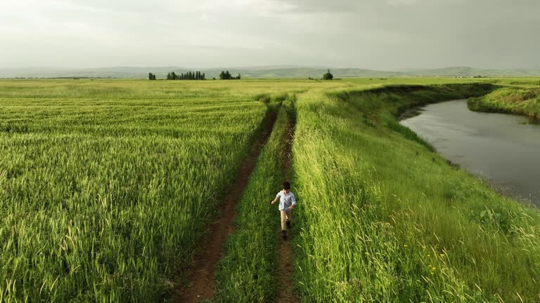 Cute little boy walking on rural path at summer day