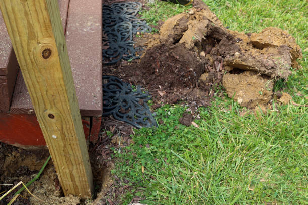 istock A wooden patio deck being renovated 1497739152