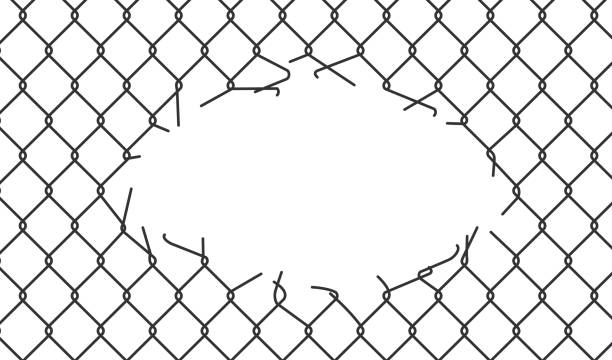Broken wire mesh fence. Rabitz or chain link fence with cut hole. Torn wire pirson mesh texture. Cut metal lattice grid. Vector illustration isolated on white background Broken wire mesh fence. Rabitz or chain link fence with cut hole. Torn wire pirson mesh texture. Cut metal lattice grid. Vector illustration isolated on white background. damaged fence stock illustrations