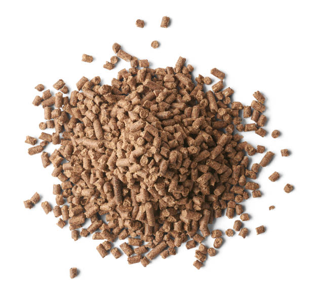 istock pile of chicken feed pellets isolated 1497743088