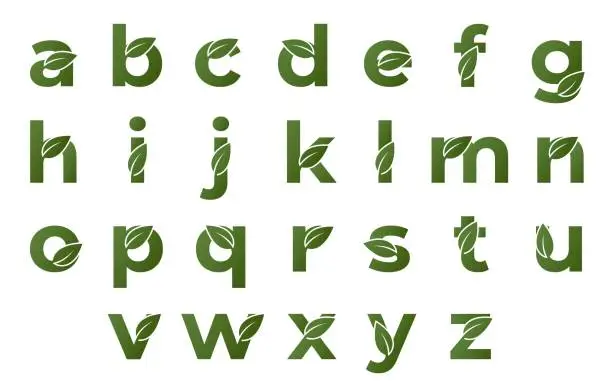 Vector illustration of lowercase letters with leaf set. eco alphabet design. nature and environment design elements. isolated vector images