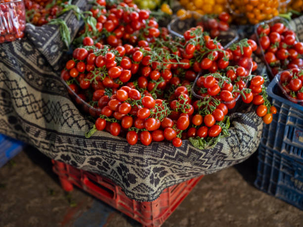 istock fresh tomatoes at the local market 1497759002