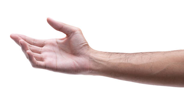 istock Male hand reach and ready to help or receive. Gesture isolated on white background. 1497759171