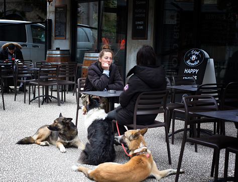 Grenoble, France: Two young woman sit with three dogs at a sidewalk cafe in downtown Grenoble.