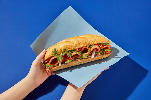 Woman's hand holding Vietnamese bread filled with meat and vegetables, covered with blue paper on the dark blue background. Scene for advertising, street food