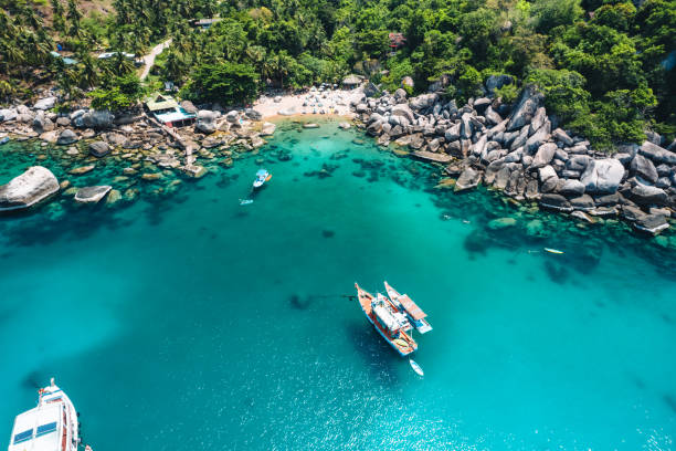 istock Beach and sea at Koh Tao, Thailand 1497770348