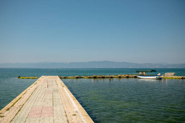 Beautiful summer lake landscape.