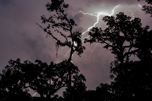 A powerful bolt of lightning illuminating the night sky, in front of the silhouette of trees
